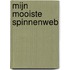 Mijn mooiste spinnenweb