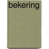 Bekering door Dries van den Akker