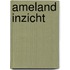 Ameland Inzicht