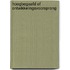 Hoogbegaafd of ontwikkelingsvoorsprong