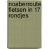 Noaberroute fietsen in 17 rondjes