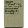 Toezicht, regelovertreding en handhaving in aanloop naar ongevallen bij Brzo-bedrijven by Wim Huisman