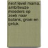 Next Level Mama. Ambitieuze moeders op zoek naar balans, groei en geluk.