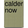 Calder Now door Eva van Diggelen