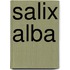 Salix Alba
