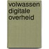 Volwassen digitale overheid