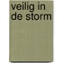 Veilig in de storm