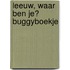 Leeuw, waar ben je? buggyboekje