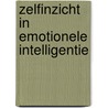 Zelfinzicht in Emotionele Intelligentie door Wouter Melkert