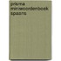 Prisma miniwoordenboek Spaans