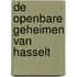 De openbare geheimen van Hasselt