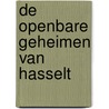 De openbare geheimen van Hasselt door Karin De Greeve