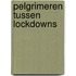 Pelgrimeren tussen lockdowns