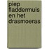 Piep Fladdermuis en het drasmoeras