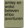 Amley en Woko beleven ehbo avonturen door Sandra Corbet