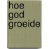 Hoe god groeide