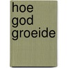 Hoe god groeide door Guido Vermeire