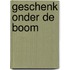 Geschenk onder de boom