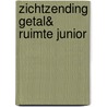 Zichtzending Getal& Ruimte Junior door Onbekend
