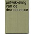 Pntwikkeling van de DNA-structuur