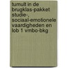 Tumult in de brugklas-pakket Studie-, sociaal-emotionele vaardigheden en LOB 1 vmbo-bkg door Sanne van Esveld