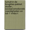 Tumult in de brugklas-pakket Studie-, sociaal-emotionele vaardigheden en LOB 1 vmbo-t door Sanne van Esveld