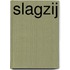 Slagzij