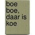 Boe boe, daar is Koe