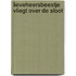 Lieveheersbeestje vliegt over de sloot