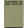 Lieveheersbeestje vliegt over de sloot door ImageBooks Factory