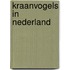 Kraanvogels in Nederland