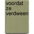 Voordat ze verdween