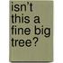 Isn’t this a fine big tree?