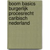 Boom Basics Burgerlijk procesrecht Caribisch Nederland door F.J.P. Lock