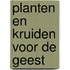 Planten en kruiden voor de geest