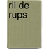 Ril de rups
