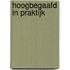 Hoogbegaafd in praktijk