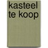 Kasteel te koop