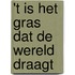 't Is het gras dat de wereld draagt