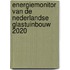 Energiemonitor van de Nederlandse glastuinbouw 2020