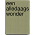 Een alledaags wonder