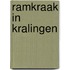 Ramkraak in Kralingen