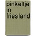 Pinkeltje in Friesland