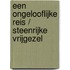 Een ongelooflijke reis / Steenrijke vrijgezel