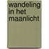 Wandeling in het maanlicht