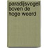 Paradijsvogel boven de Hoge Woerd