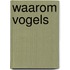 Waarom vogels