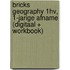 BRICKS Geography 1hv, 1-jarige afname (digitaal + workbook)