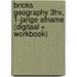 BRICKS Geography 3hv, 1-jarige afname (digitaal + workbook)