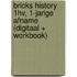 BRICKS History 1hv, 1-jarige afname (digitaal + workbook)